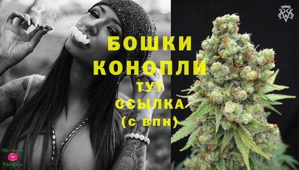 гидра Михайловск