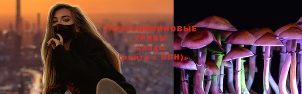 стаф Абинск