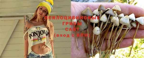 стафф Абаза