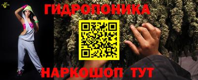 индика Пенза