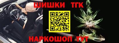 индика Пенза