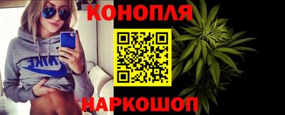 индика Пенза